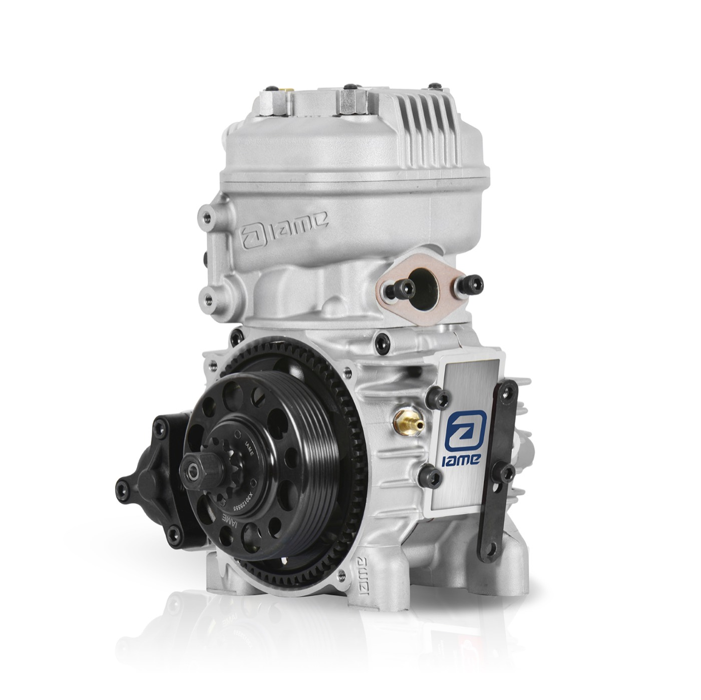 IAME X30 Mini Swift engine