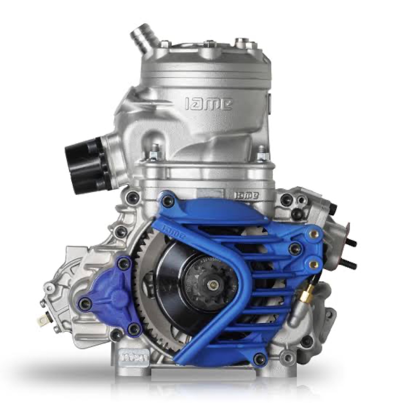 IAME S125 Senior engine